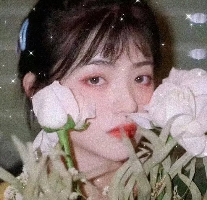 夏日不宜入爱河